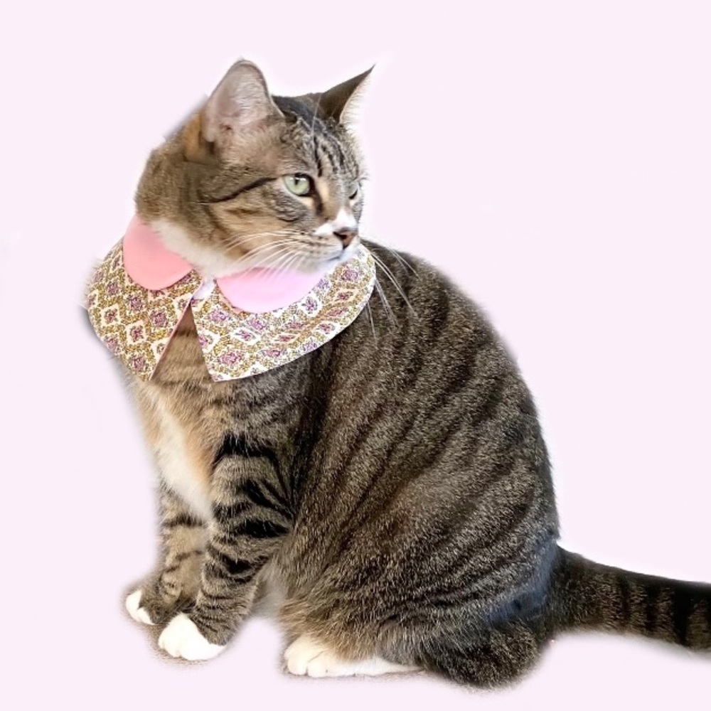 Pet cape floral pink and blue